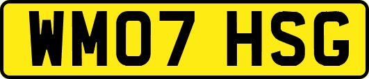 WM07HSG