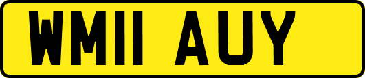WM11AUY