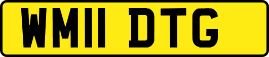WM11DTG