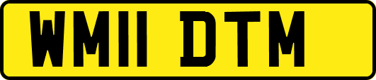 WM11DTM