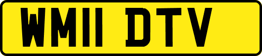 WM11DTV