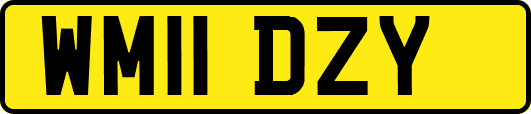 WM11DZY