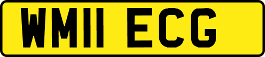 WM11ECG
