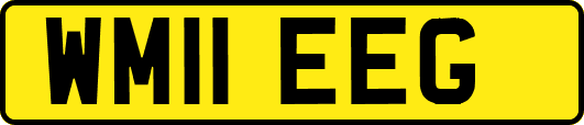 WM11EEG