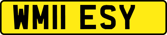 WM11ESY