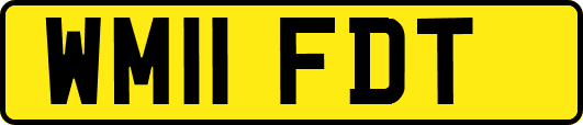 WM11FDT