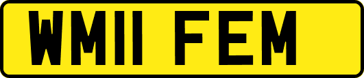 WM11FEM