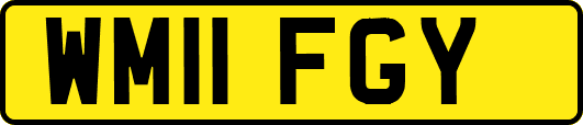 WM11FGY