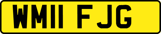 WM11FJG