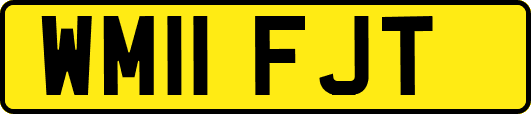 WM11FJT