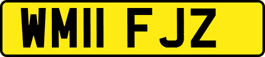 WM11FJZ