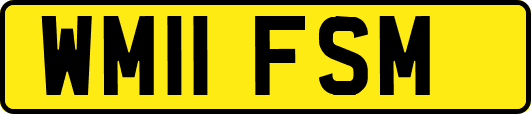 WM11FSM