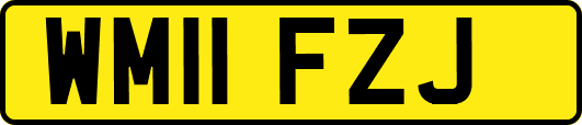 WM11FZJ