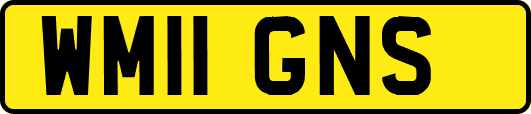 WM11GNS