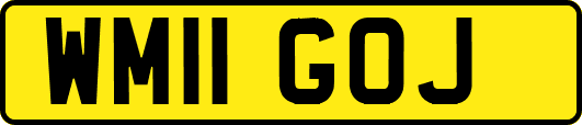 WM11GOJ