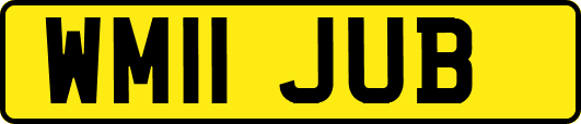 WM11JUB