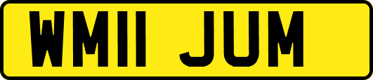 WM11JUM