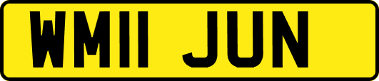 WM11JUN
