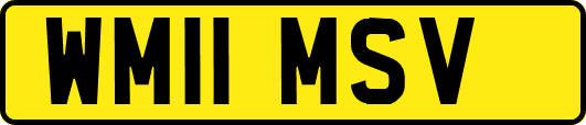 WM11MSV