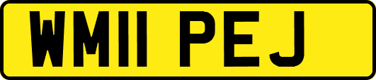 WM11PEJ