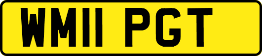 WM11PGT