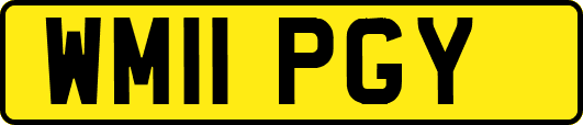 WM11PGY