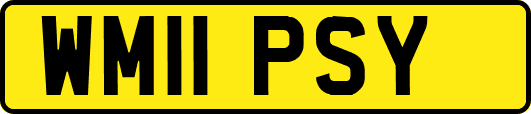WM11PSY