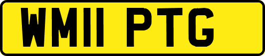 WM11PTG