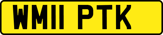 WM11PTK