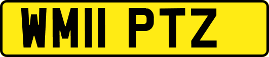 WM11PTZ