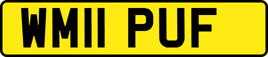 WM11PUF