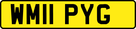 WM11PYG