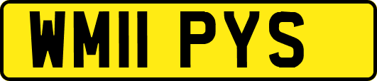 WM11PYS