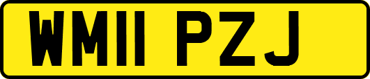 WM11PZJ