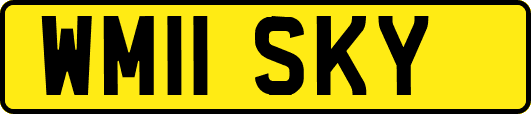 WM11SKY