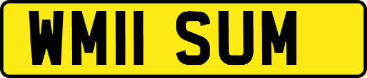 WM11SUM