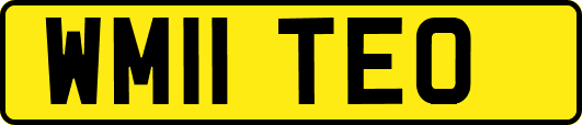 WM11TEO