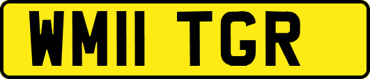 WM11TGR