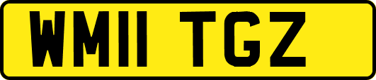 WM11TGZ