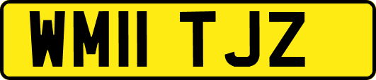 WM11TJZ