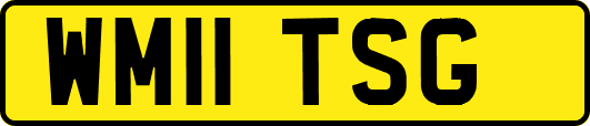 WM11TSG