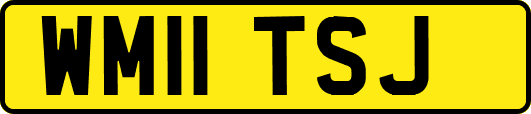 WM11TSJ