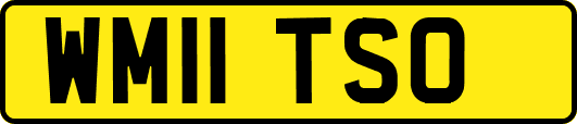 WM11TSO