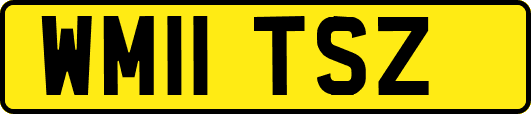 WM11TSZ