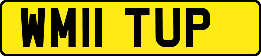 WM11TUP