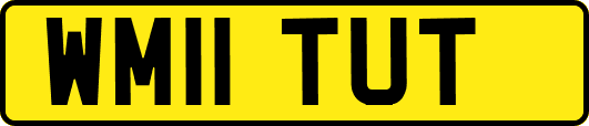 WM11TUT