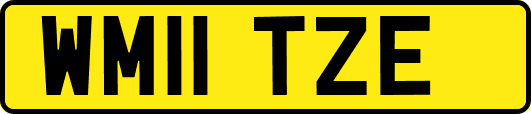 WM11TZE