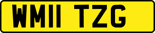 WM11TZG