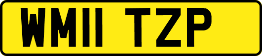 WM11TZP