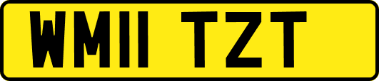 WM11TZT